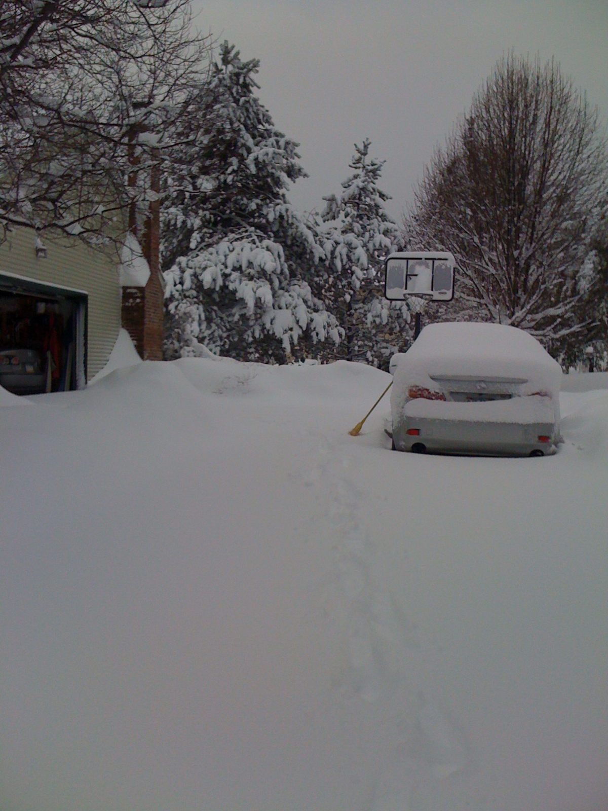 Momentum_snowstorm