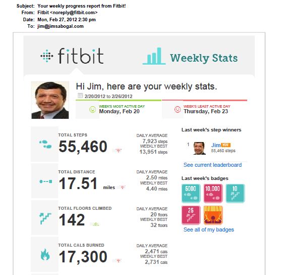 Fitbit weekly snapshot