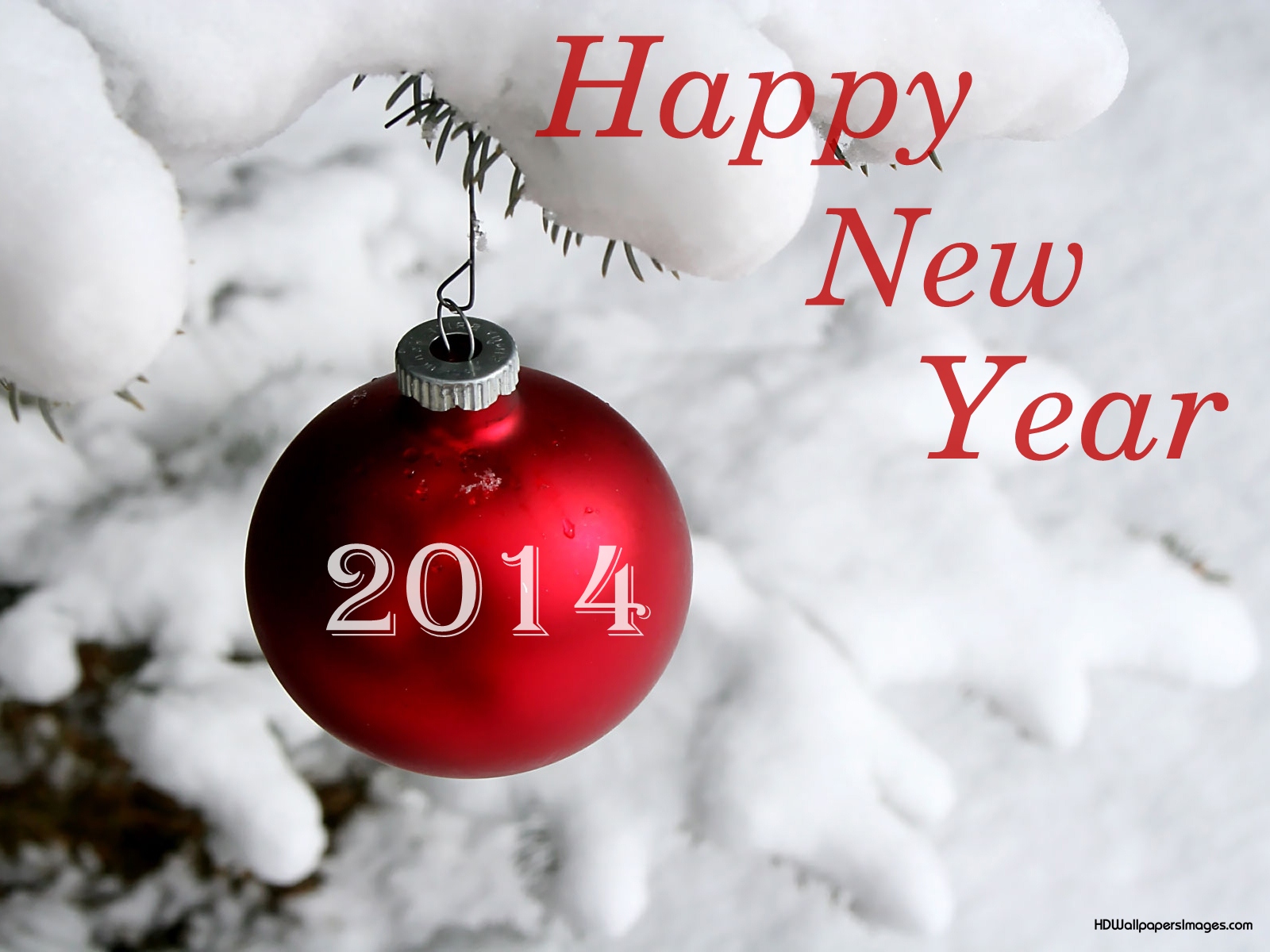 Happy New Year's 2014